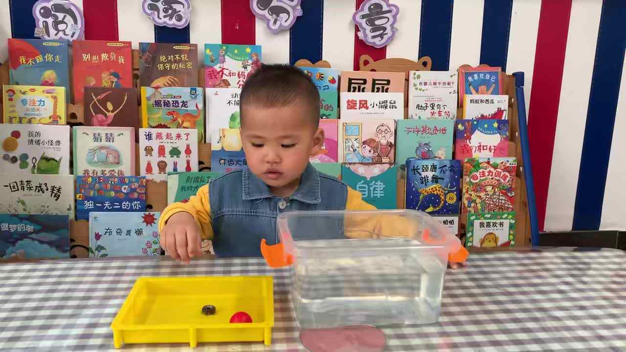 2026年4月13日李岸栩：    科学实验《沉与浮》学校教育教学活动