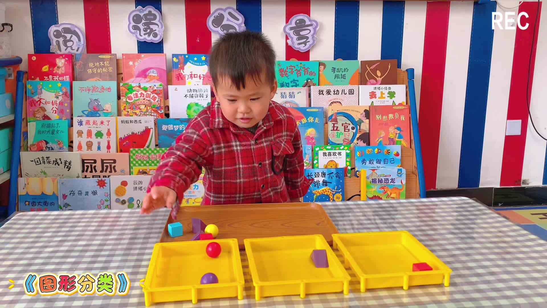 小A班《图形分类》