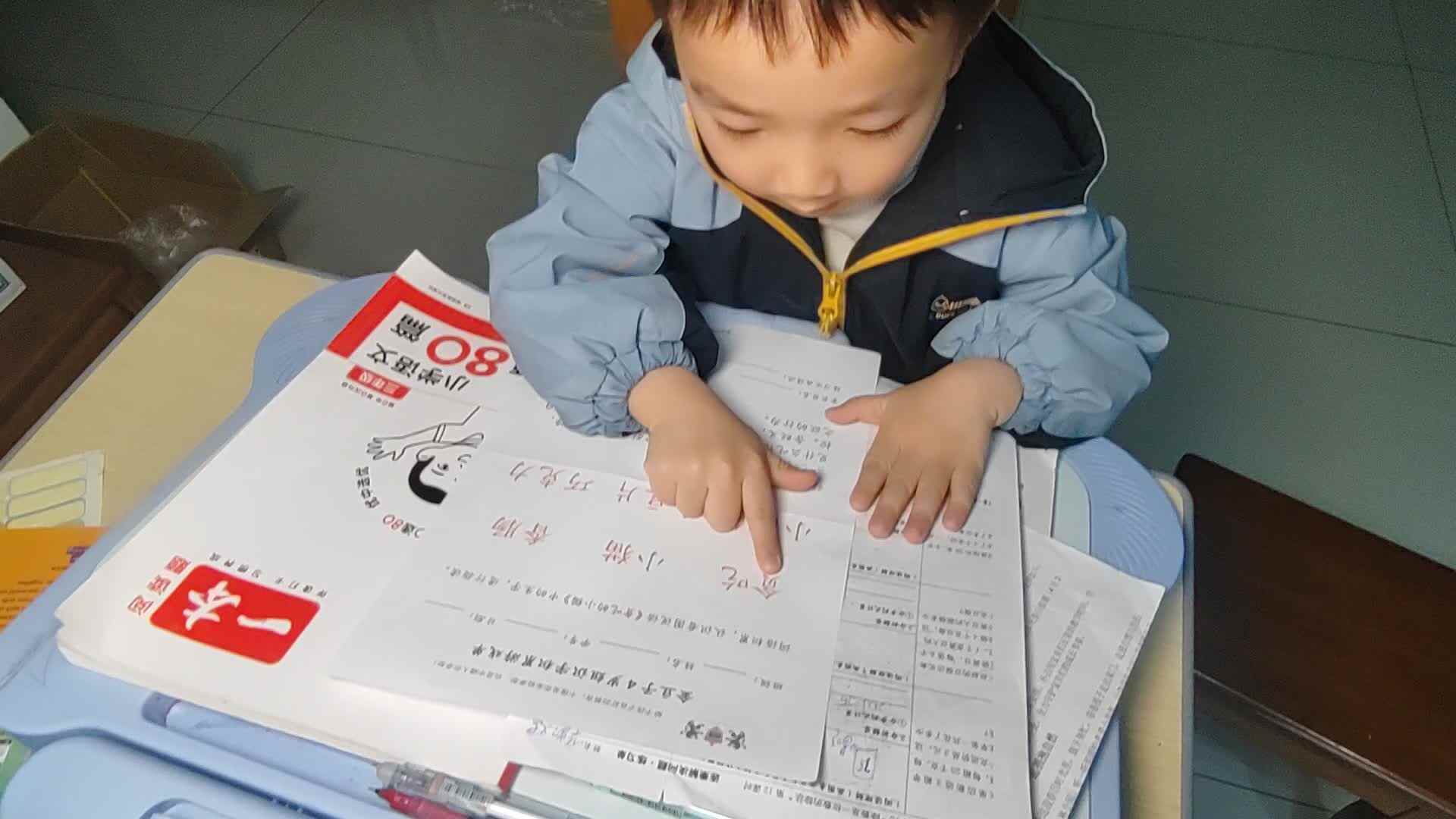 VID_20260401_174844.mp4