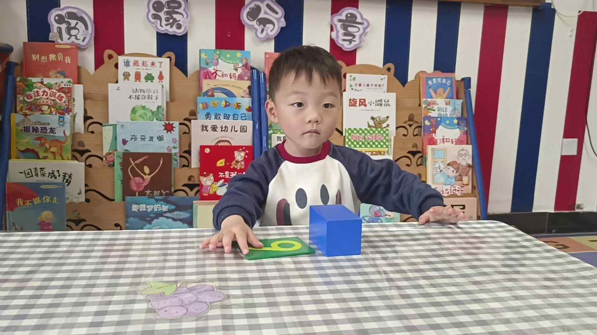 2026 4 21 刘佳锐《触摸板》学前教学活动