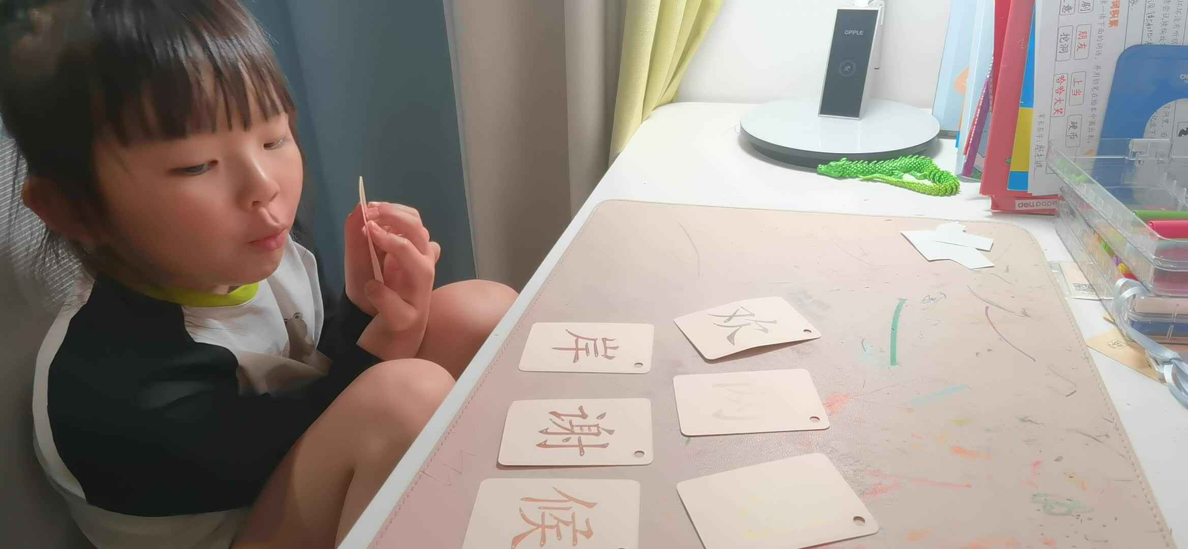 实验大班马司雨复习字卡