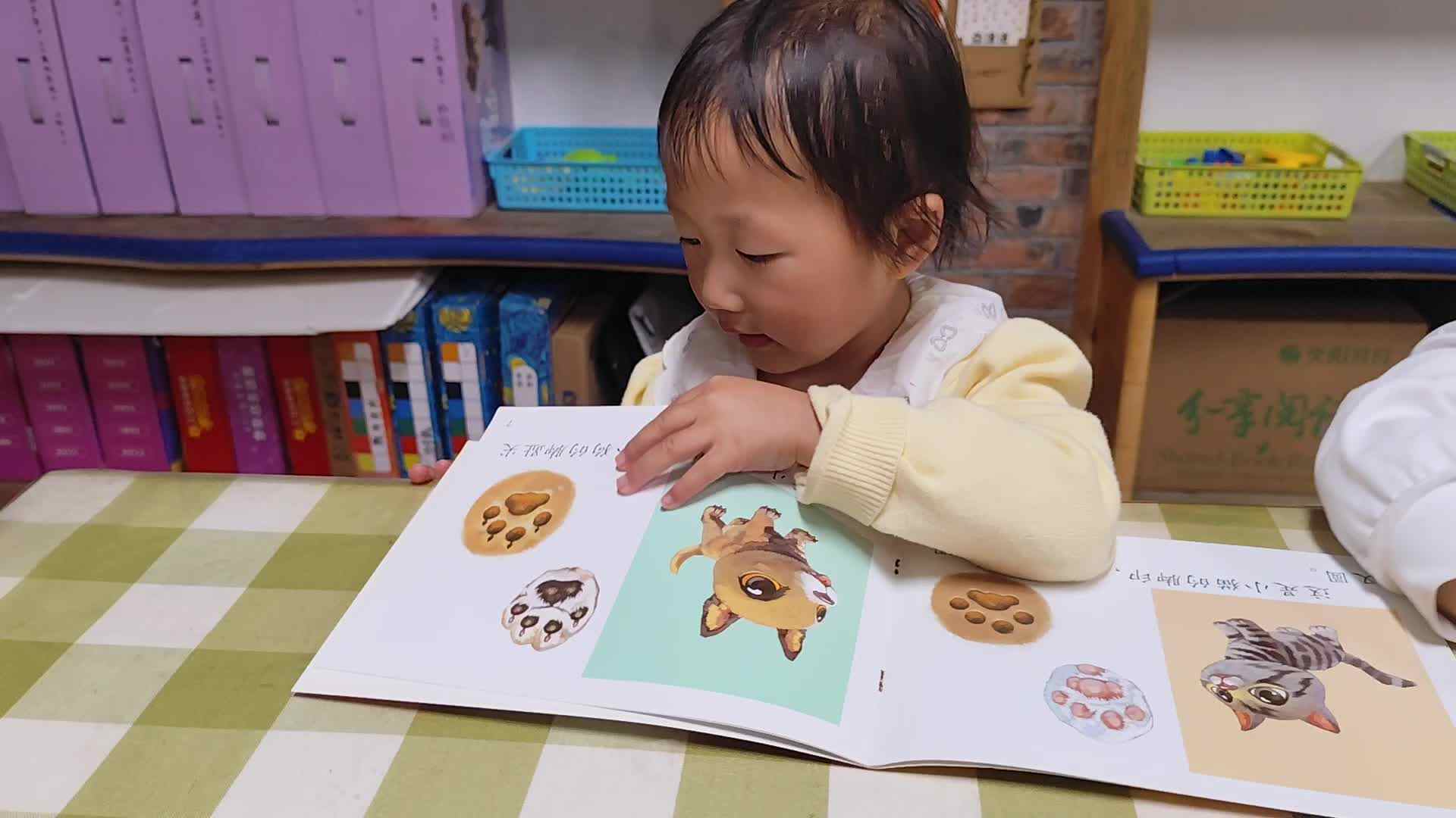 2026.4.22实验小班11号陈舒梦—阅读时光