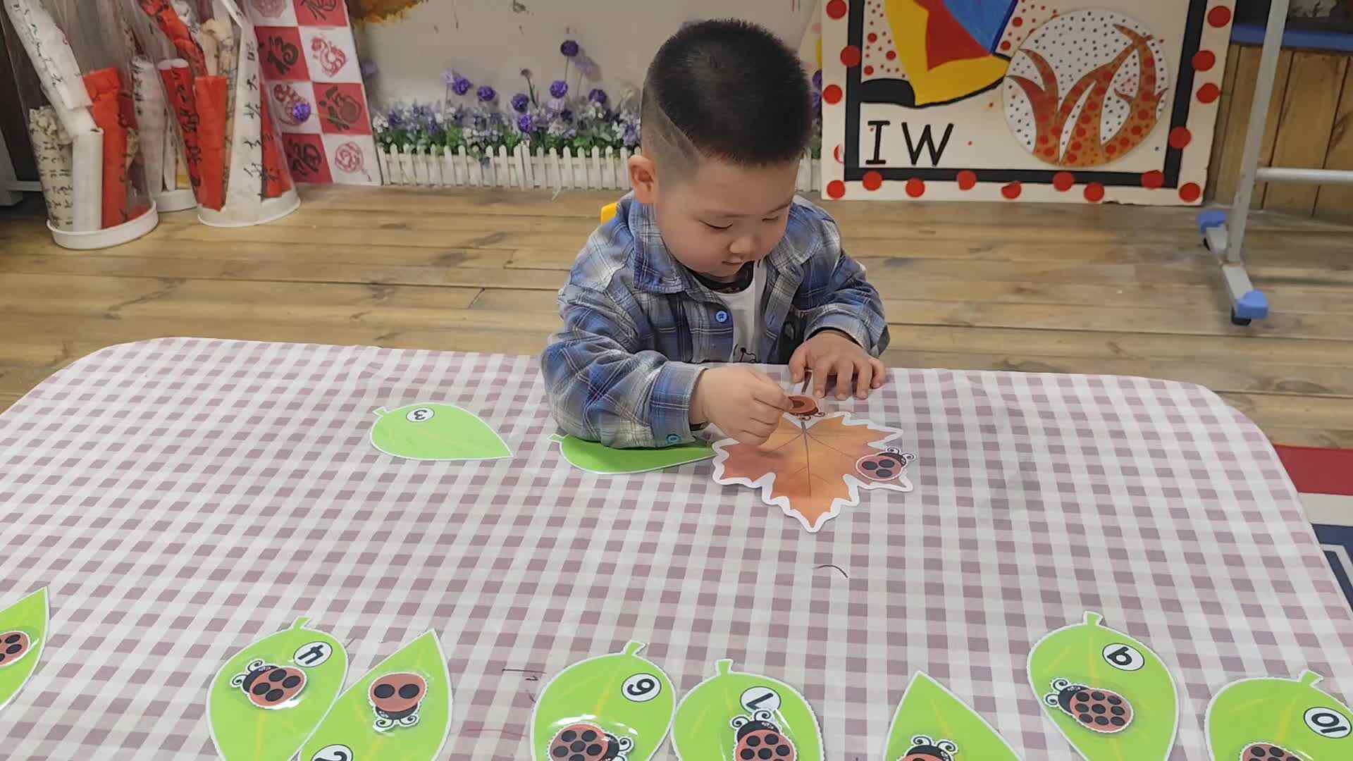 2026.4.28实验小班8号杨卓浩——数学逻辑