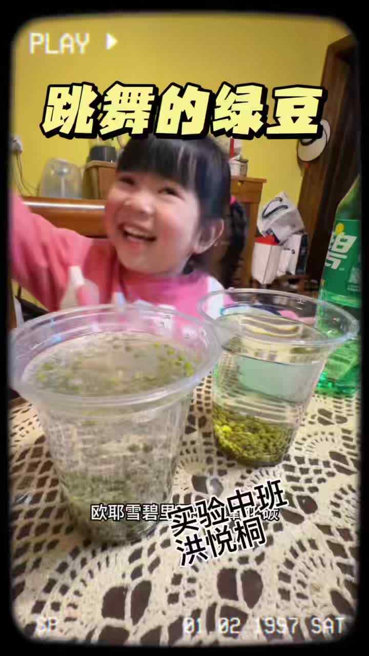 实验中班 洪悦桐  六一视频大赛 科学实验《跳舞的绿豆》.mp4