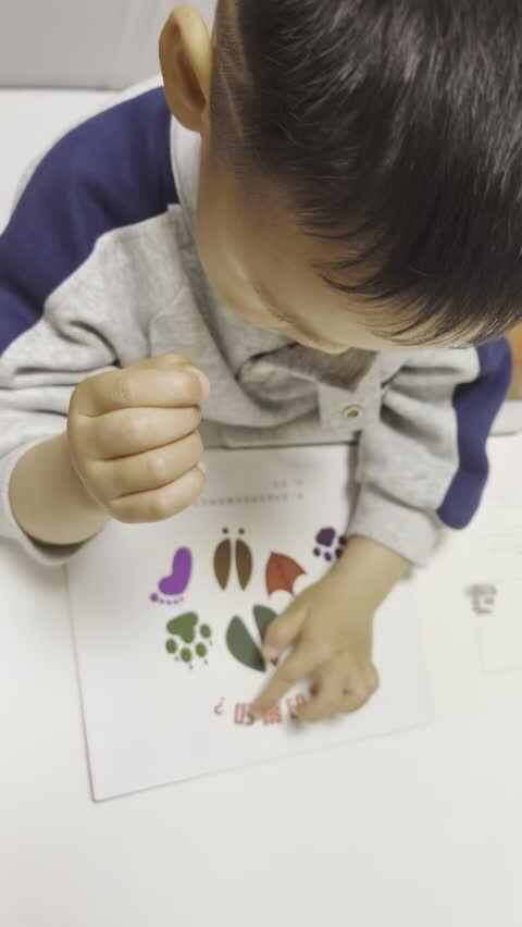 2026.4.28-实验小班程翊童-指读绘本《这是谁的脚印》