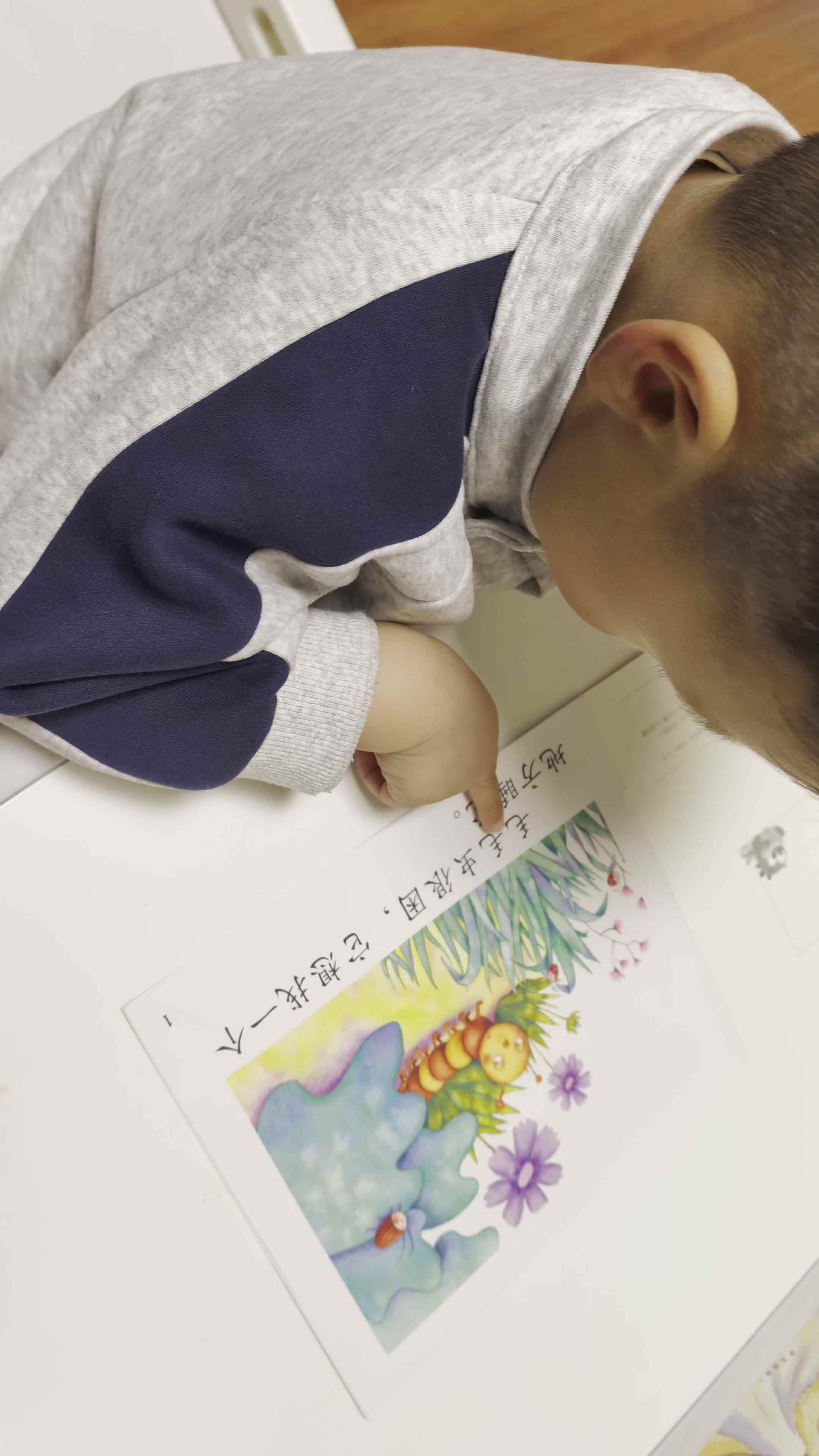 实验小班程翊童-指读绘本《好困的毛毛虫》-2026.4.9