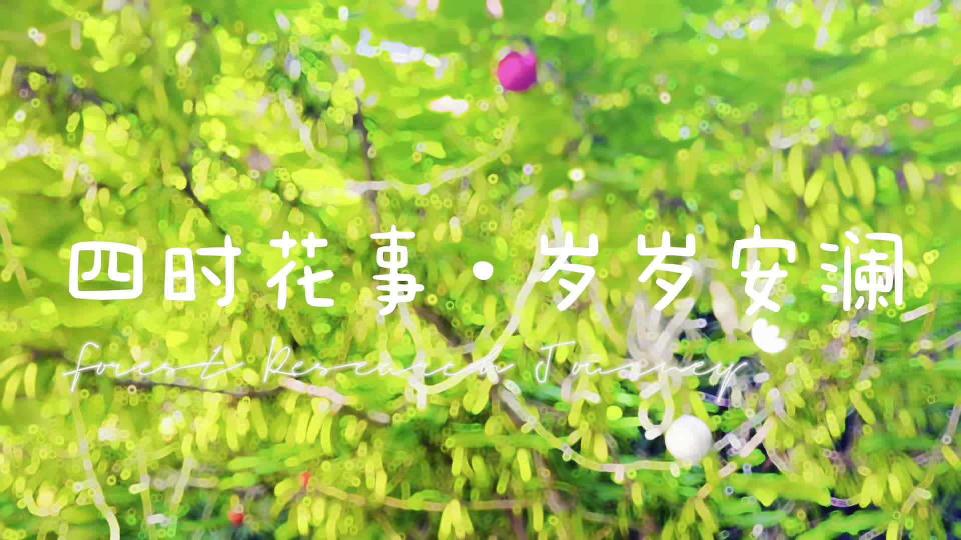 四时花事·岁岁安澜——金豆子周末成长营活动.mp4