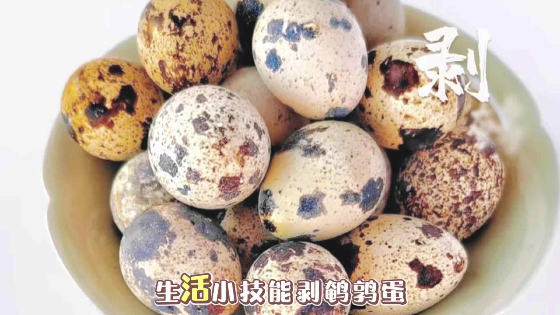 小A班《剥鹌鹑蛋》生活练习