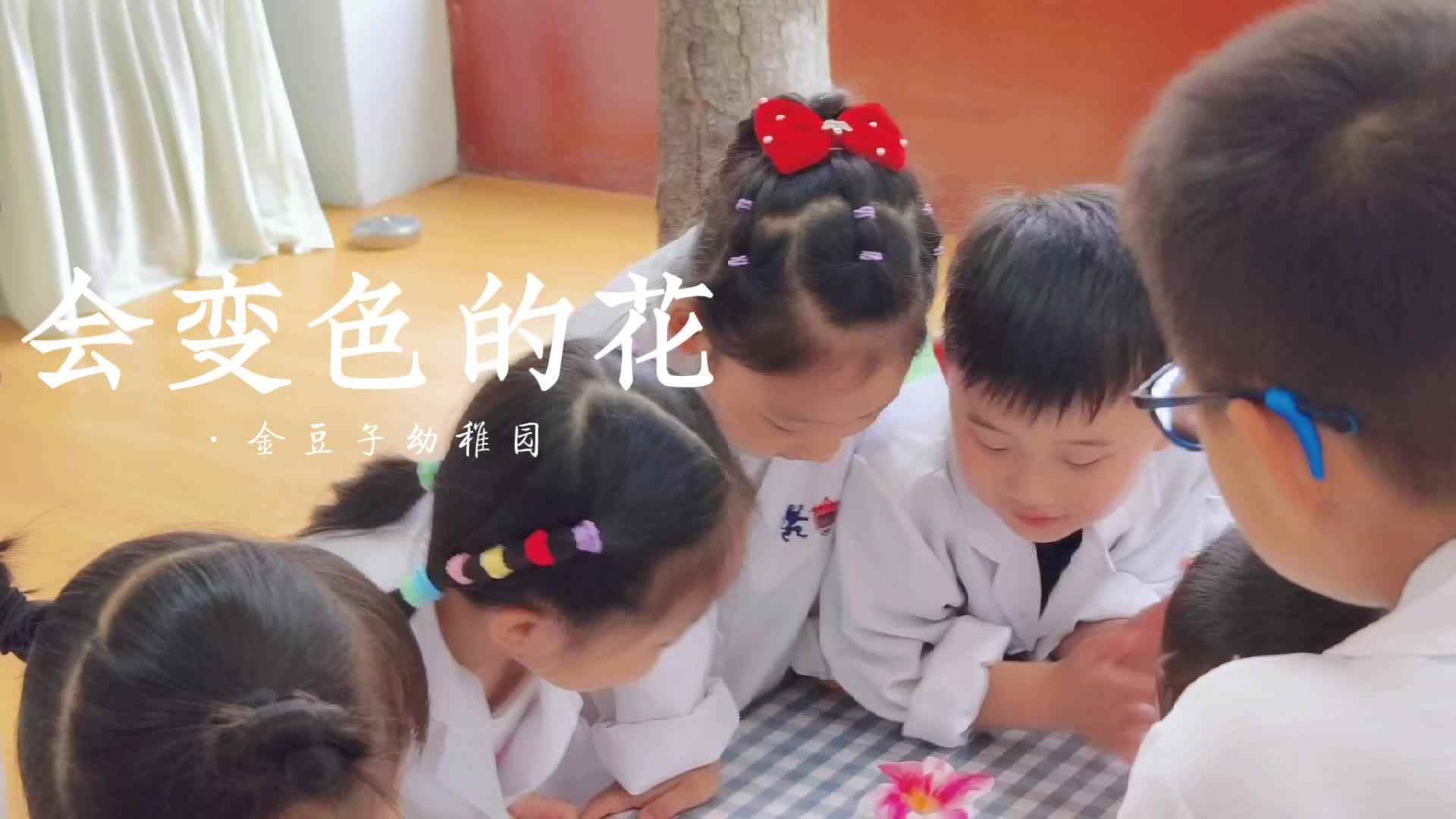 会变色的花