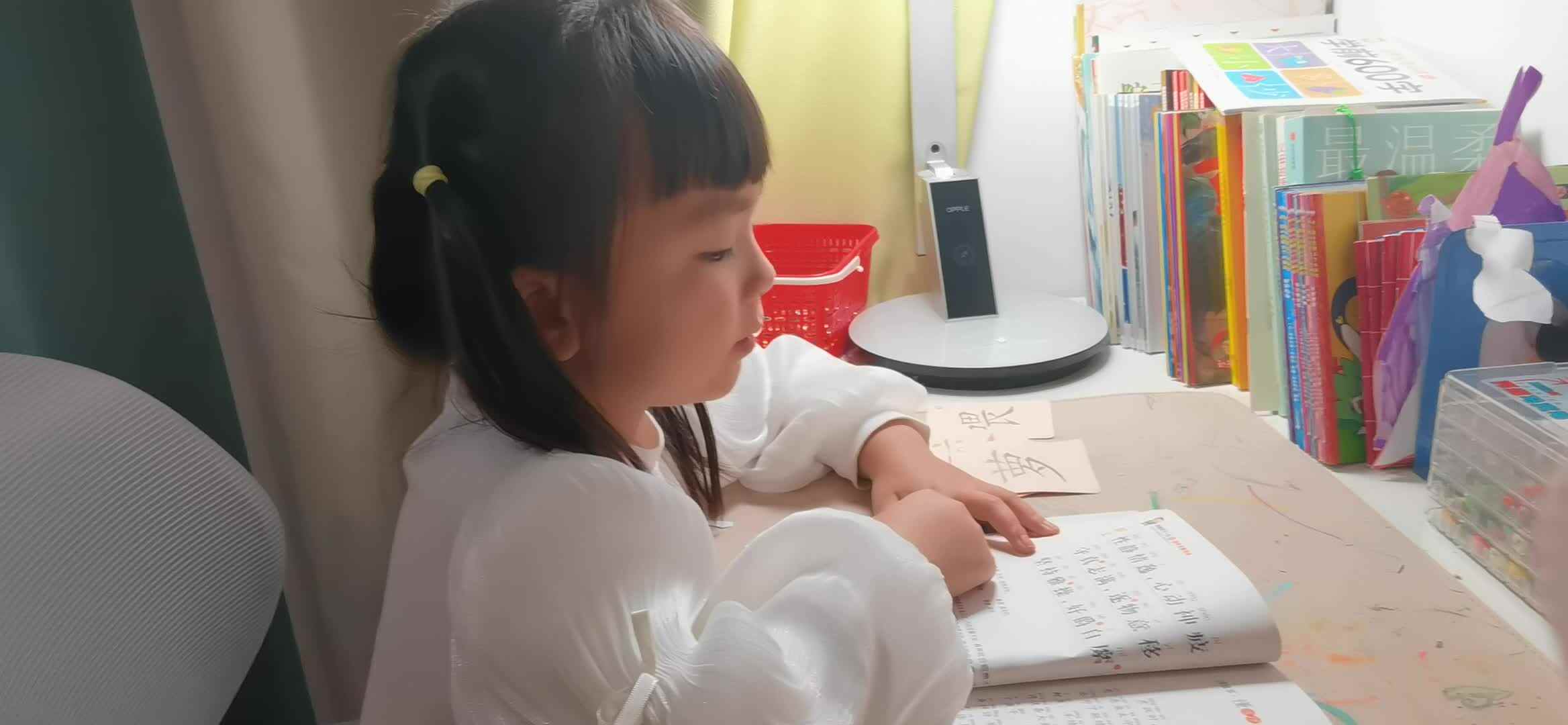 实验大班马司雨复习千字文