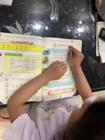 美丽的枫叶