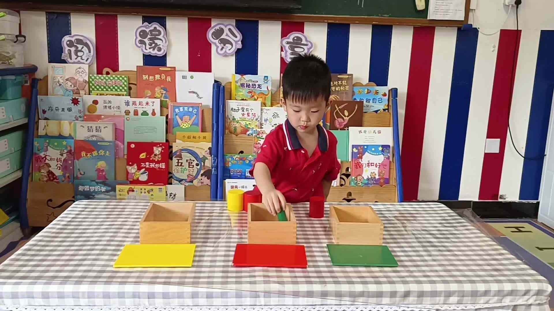 2026.5.20-肖肖-主题：颜色分类（学校教育教学活动）