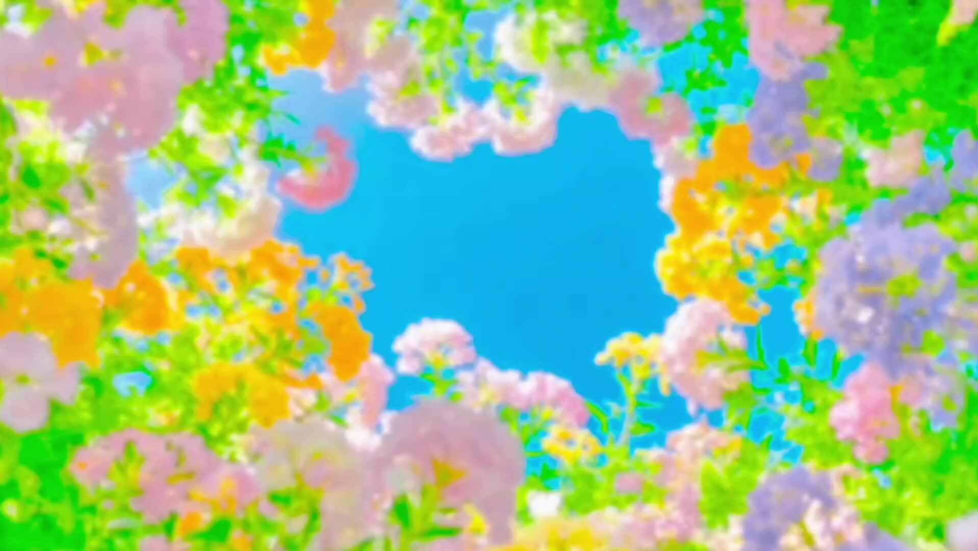 最美5月