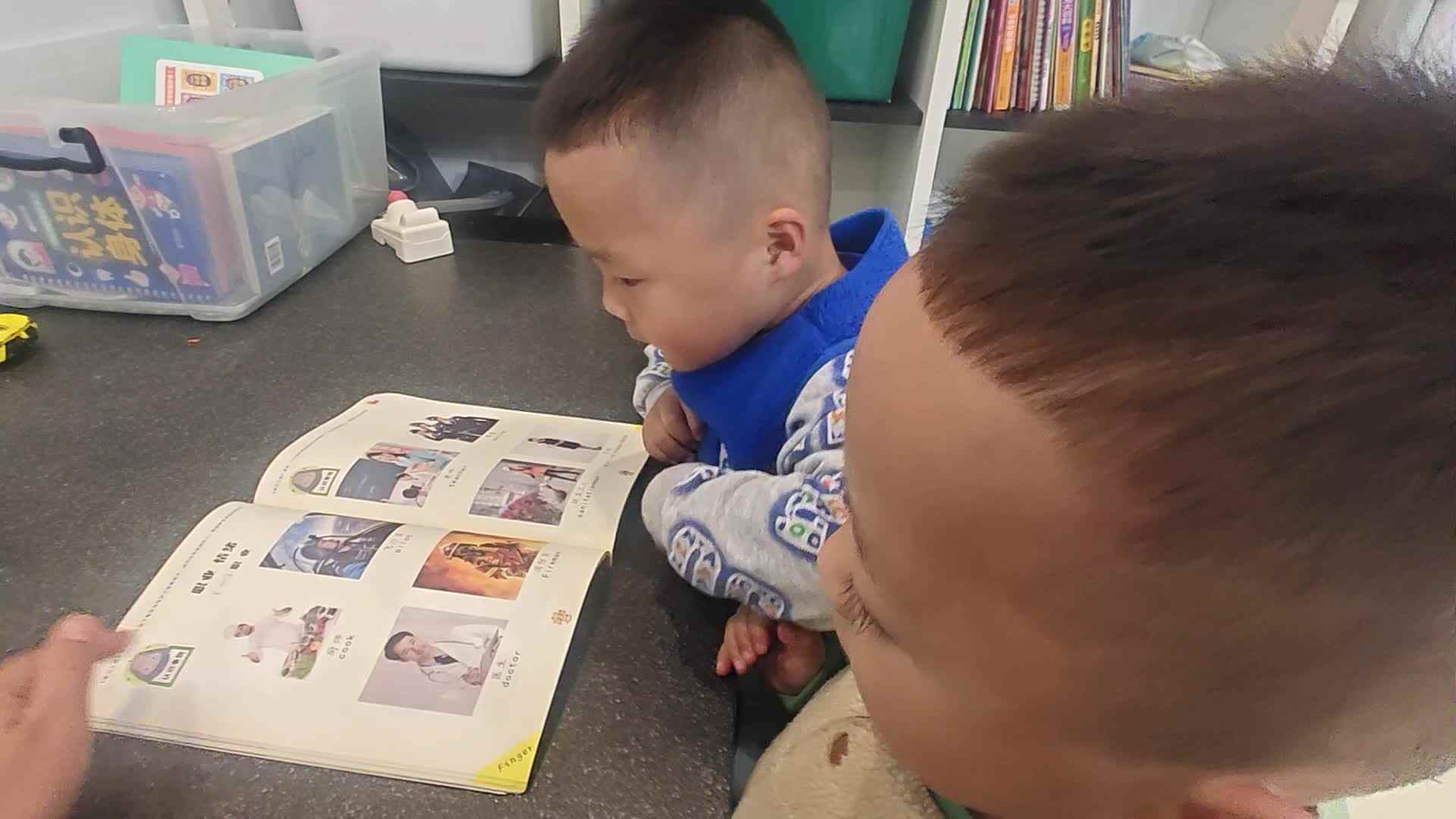 2026 5  8刘佳铭and刘佳锐阅读认识《职业》家庭闯关练习