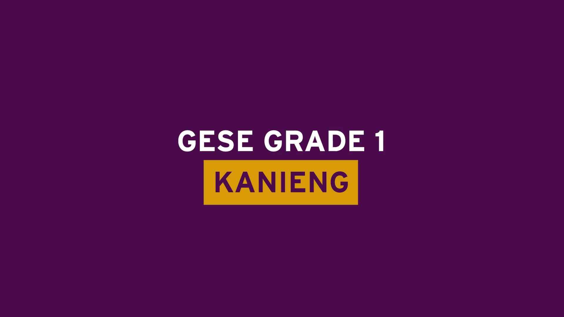 圣三一英语口语Trinity GESE1考试示例
