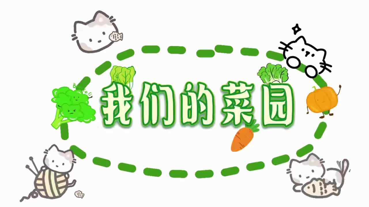 2026.5.29实验小班户外活动《我们的菜园》