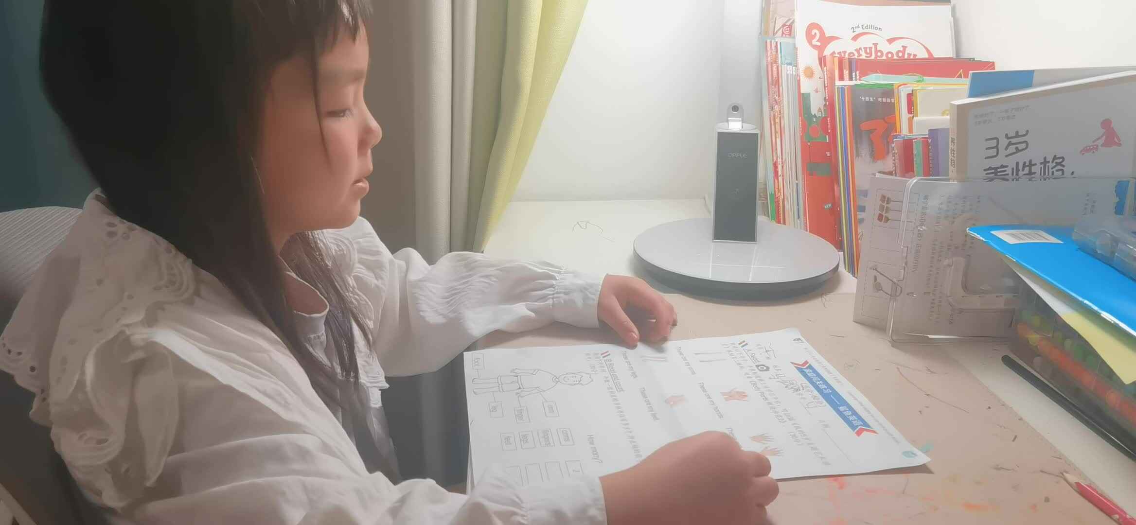 实验大班马司雨复习英语