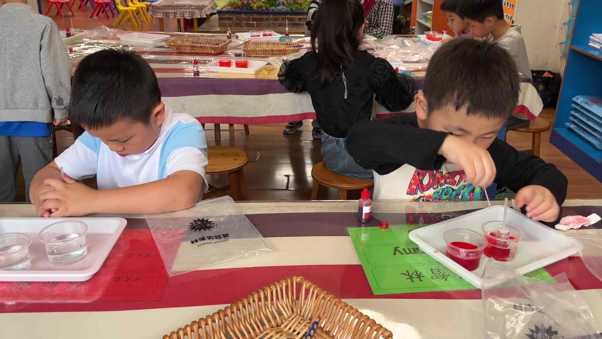 2026.6.12 实验1班 科学实验