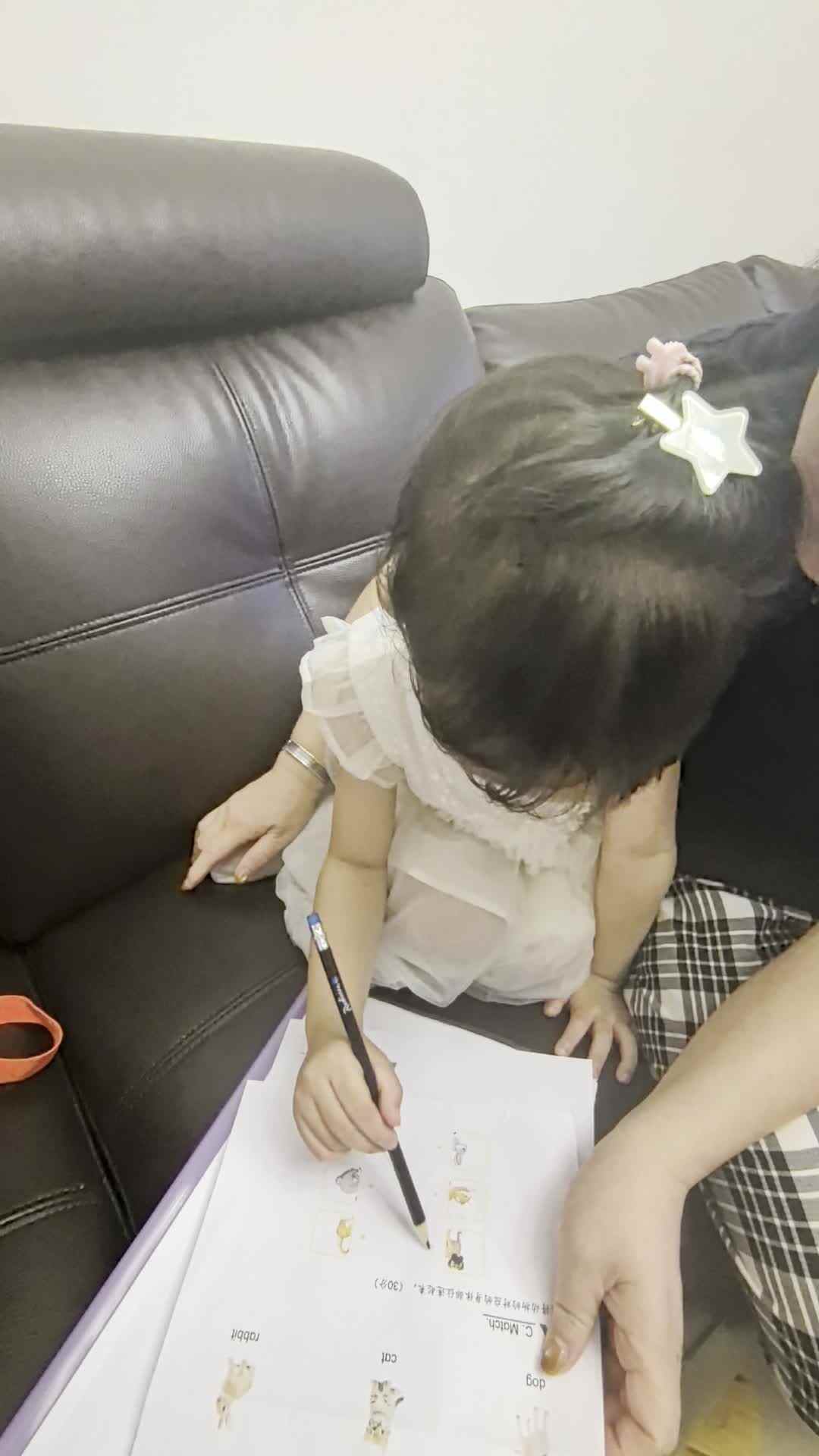 实验小班4号王艺霖连接动物图形.mp4