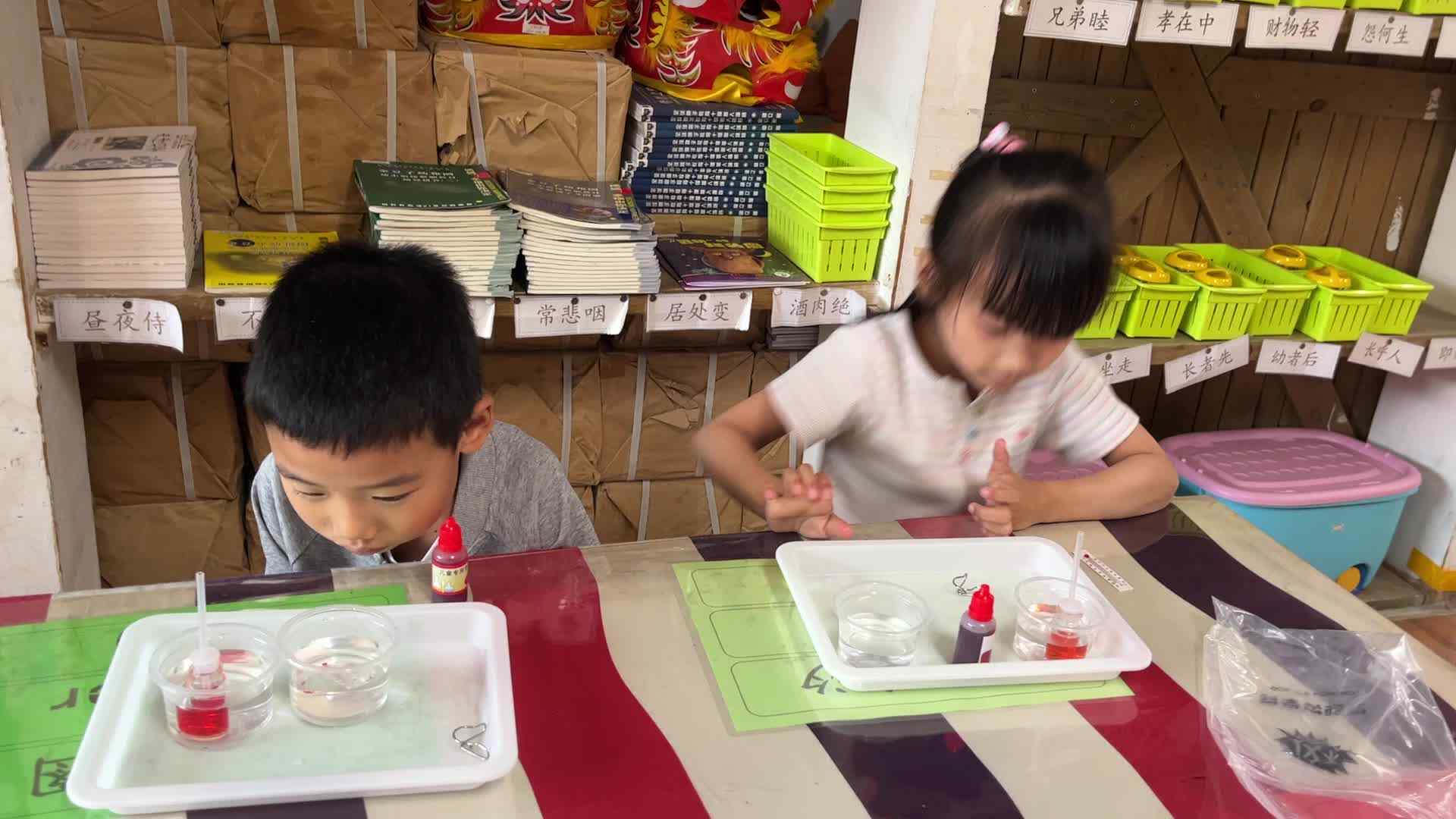 2026.6.12 实验1班 科学实验