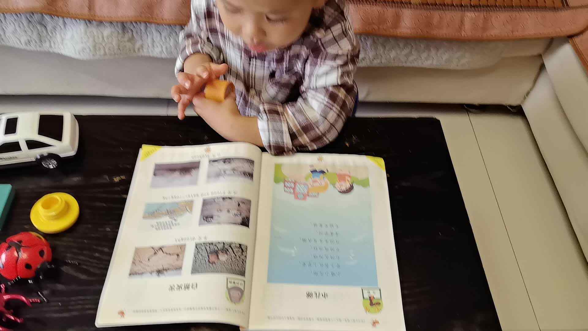 2026.6.13李岸栩：只读语言书《自然灾害》家庭闯关作业