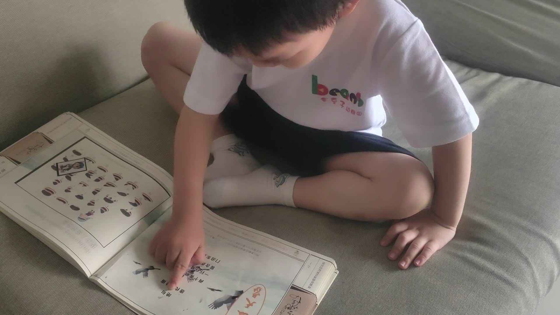 VID_20260617_174308.mp4