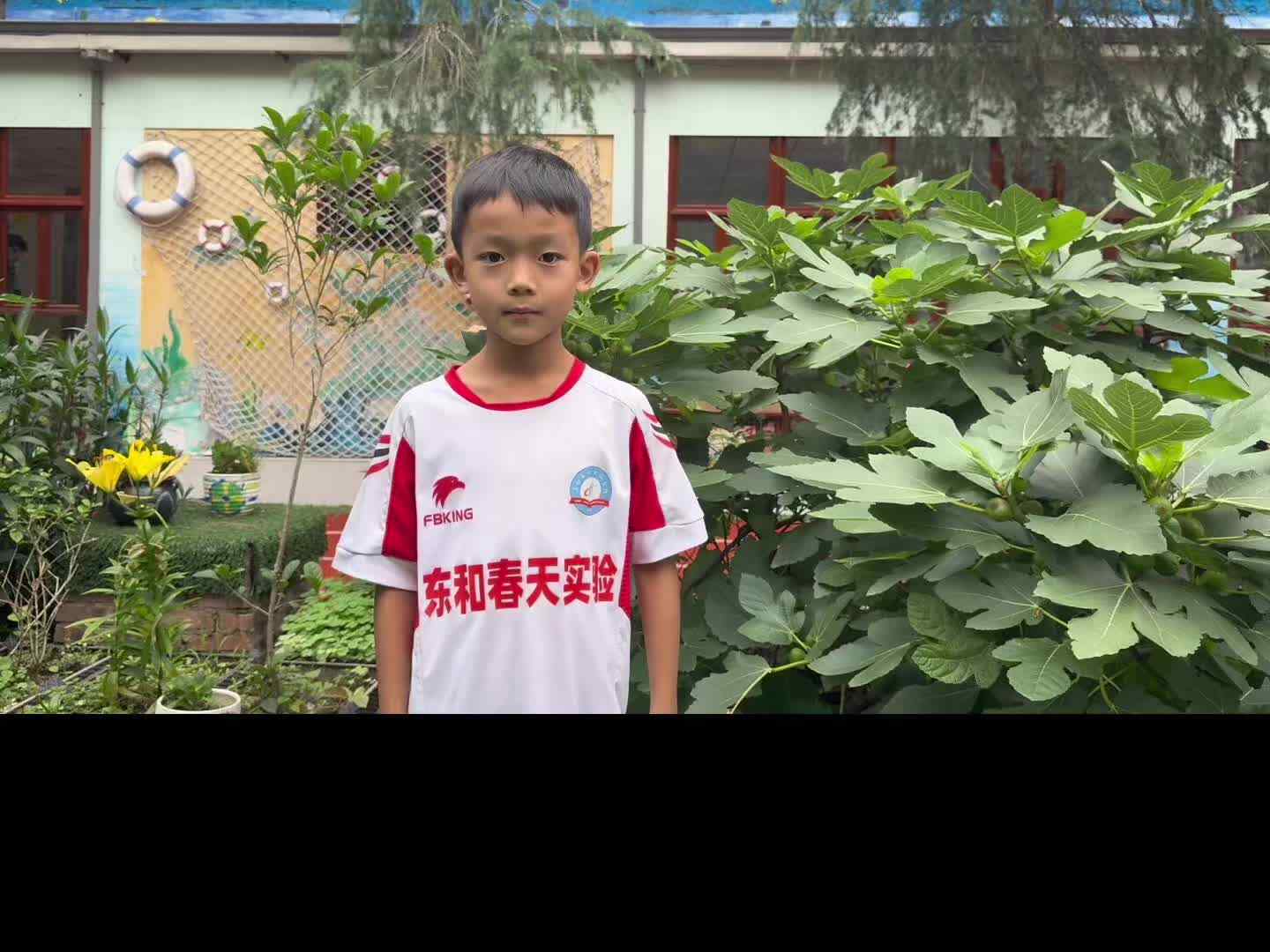 金豆子的无花果