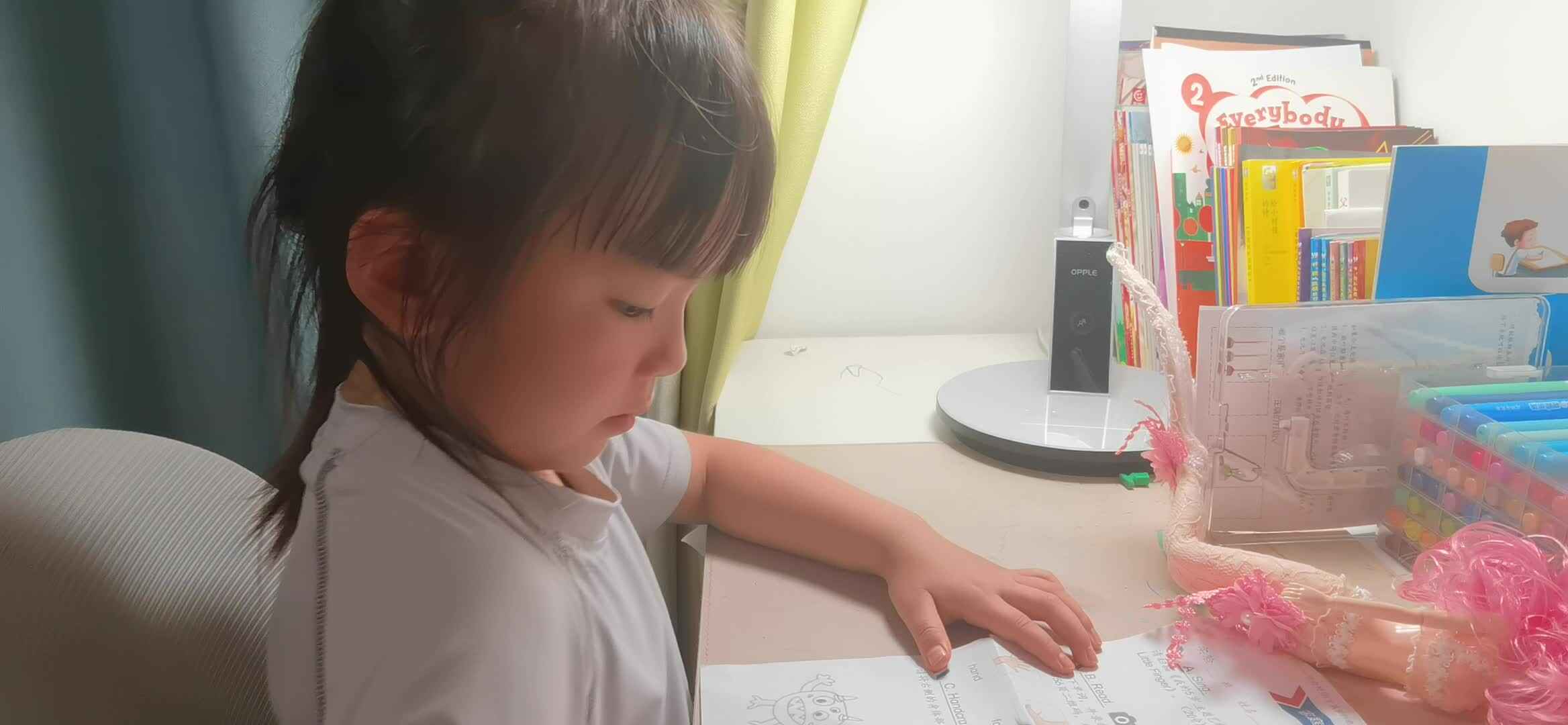 实验大班马司雨复习英语