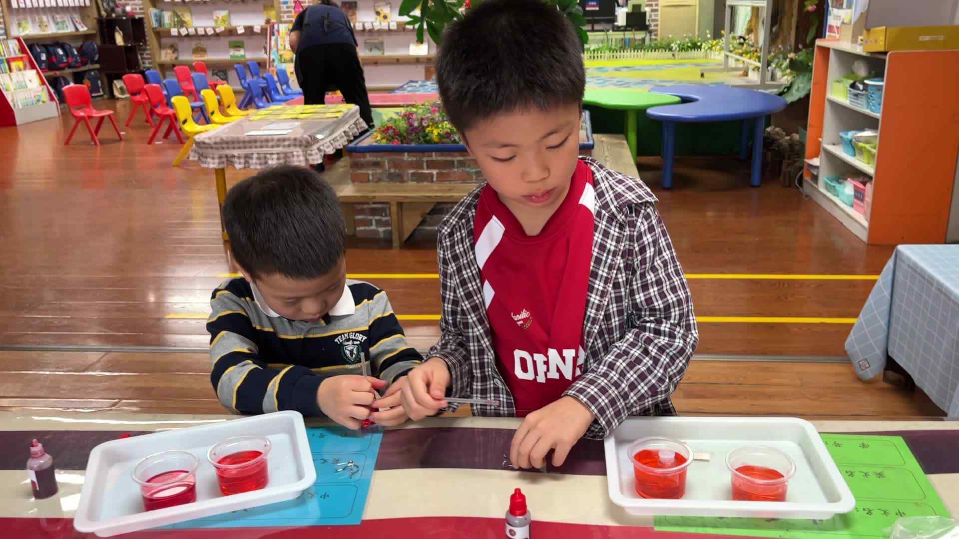 2026.6.12 实验1班 科学实验