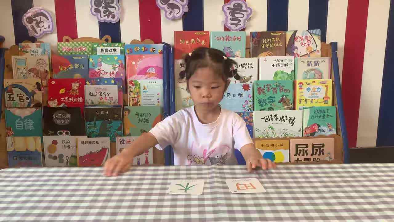 2026年7月21日 谭婼兮识字 《田、木》学校教育教学活动