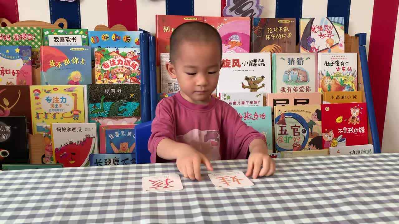 2026年7月8日 王观之 识字《娃，孩》学校教育教学活动