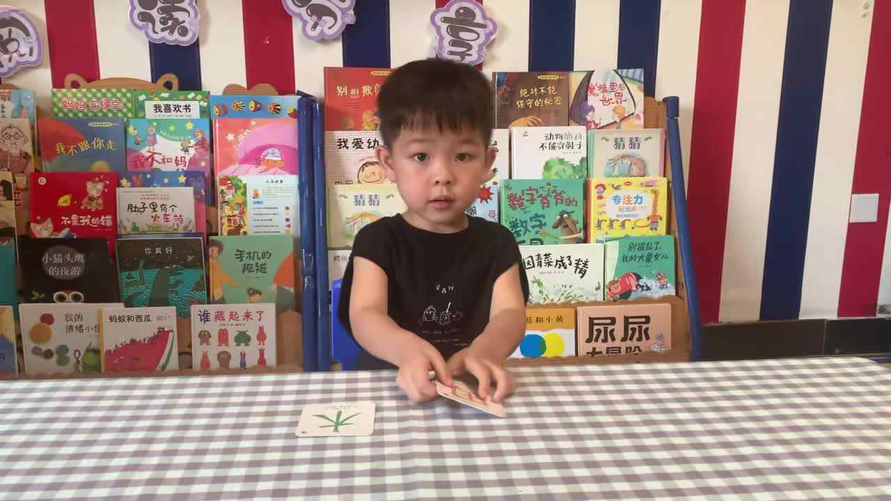 2026年7月22日  黄钇然  识字《田、木》学校教育教学活动