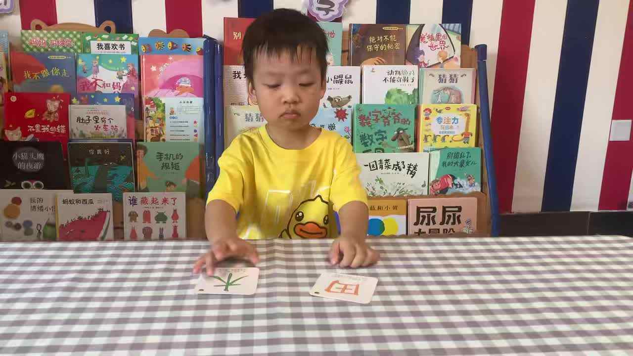 2026年7月21日李君祁 识字 《田、木》学校教育教学活动