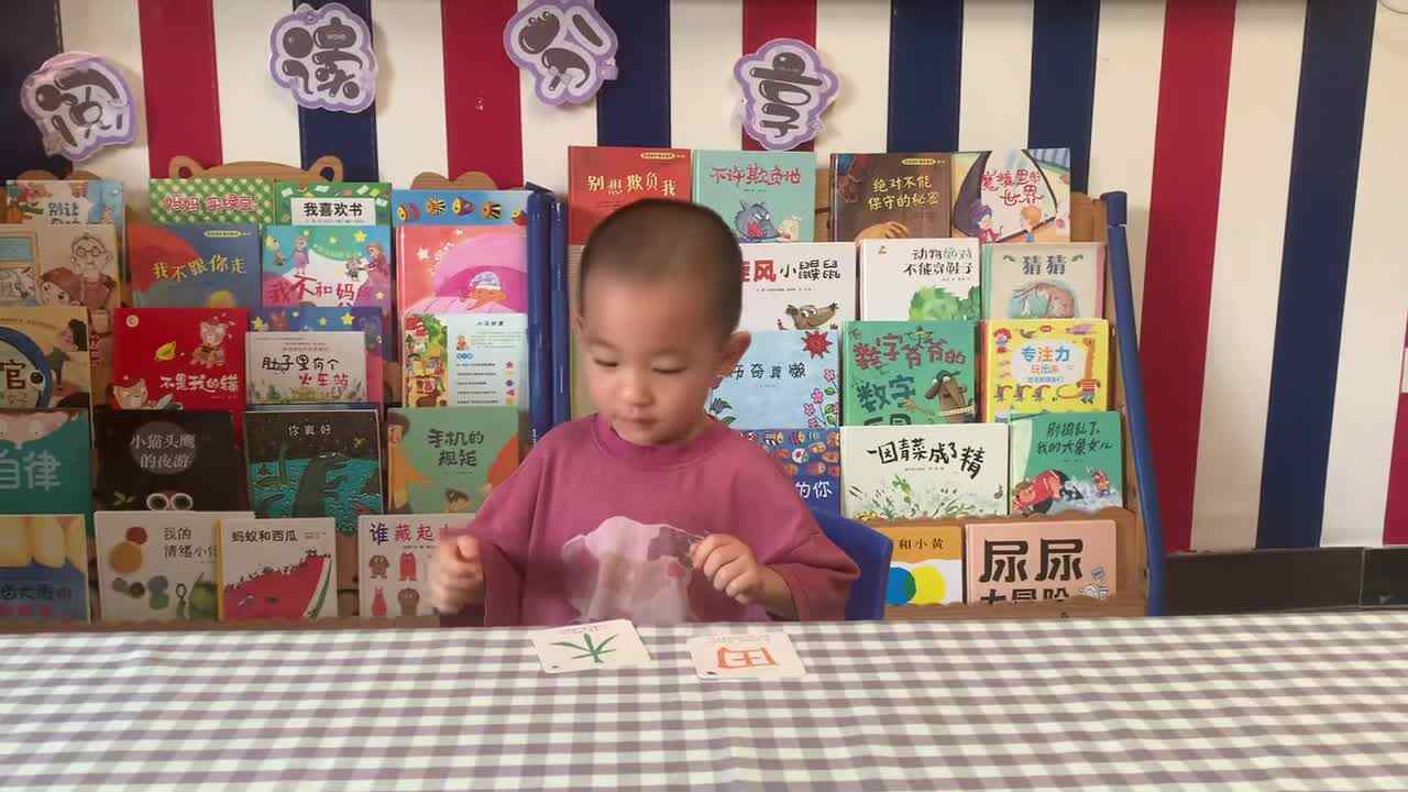 2026年7月22日 王观之 识字 《田、木》学校教育教学活动.mp4