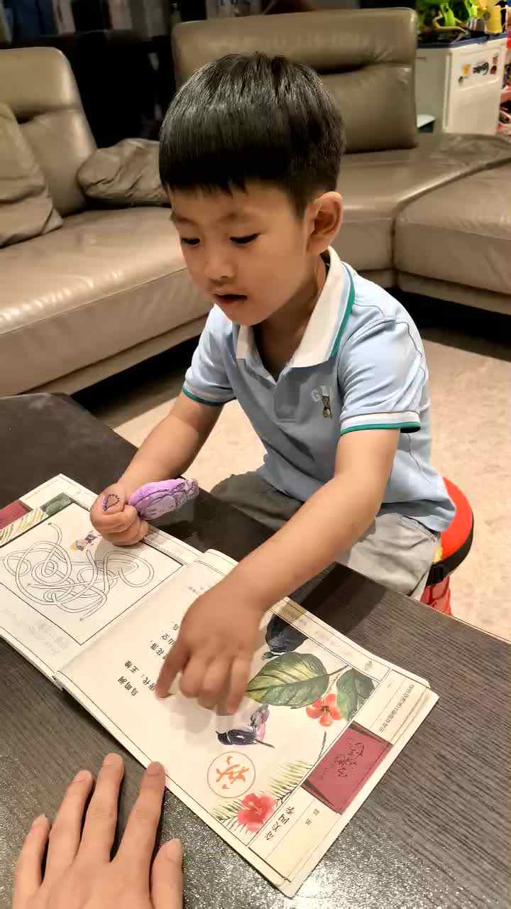 ⁣2026年7月8日 杨佳齐  复习古诗《鸟鸣涧》 家庭闯关练习