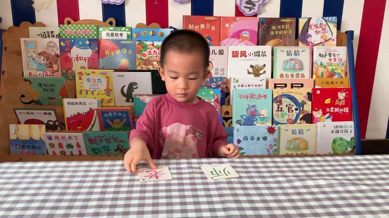 2026年7月1日 王观之 识字《老  师》学校教育教学活动