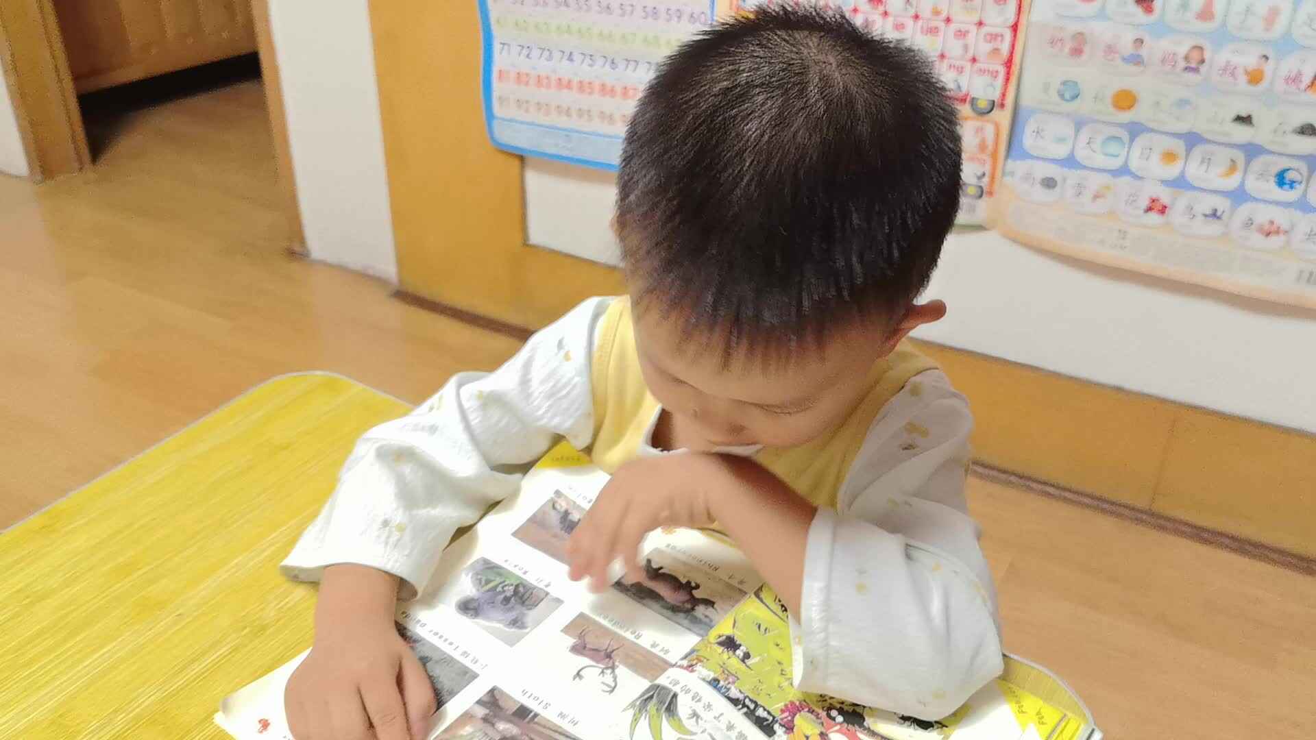 20260921 张茗泽 指读语言书《哺乳动物》家庭闯关练习