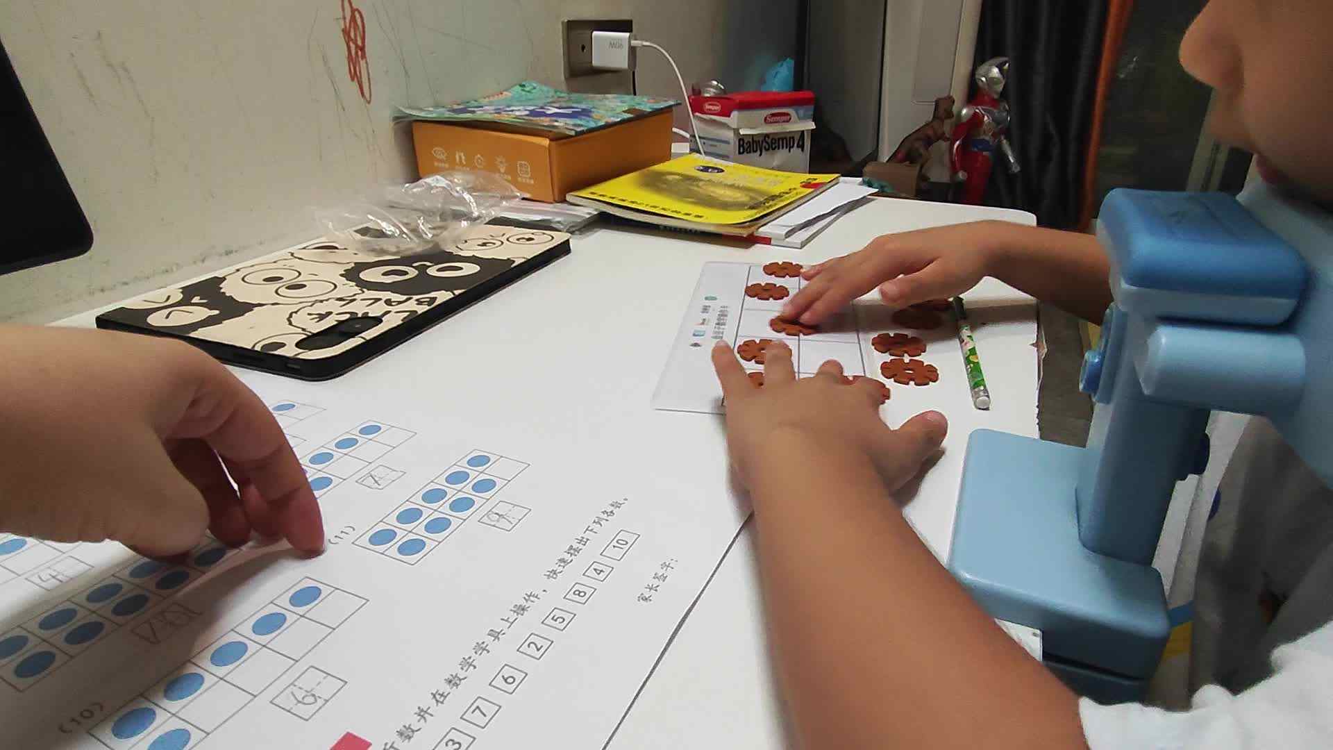 看数摆物