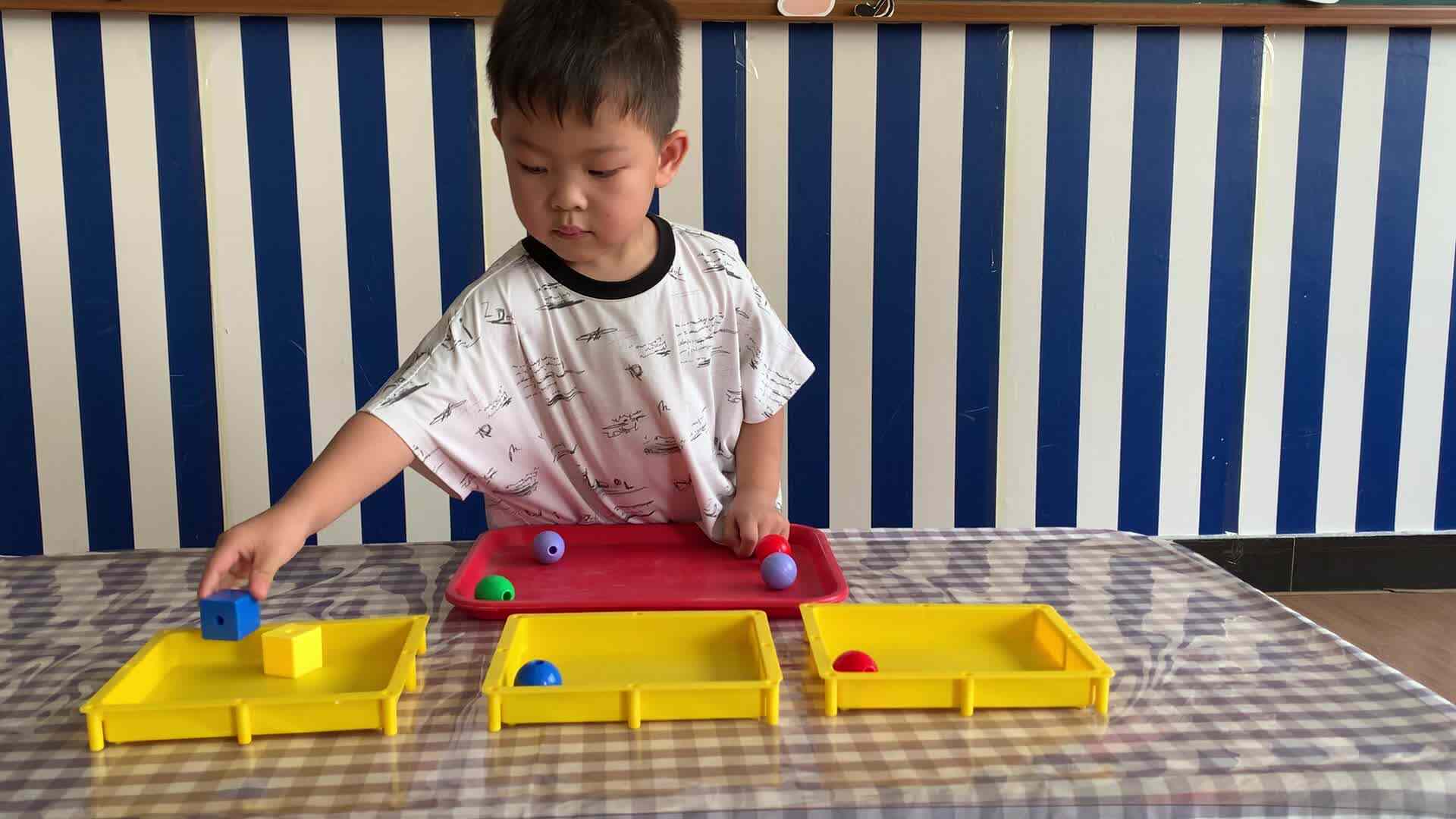 2026年9月8日   黄钇然  《按物品特征分类》学校教育教学活动