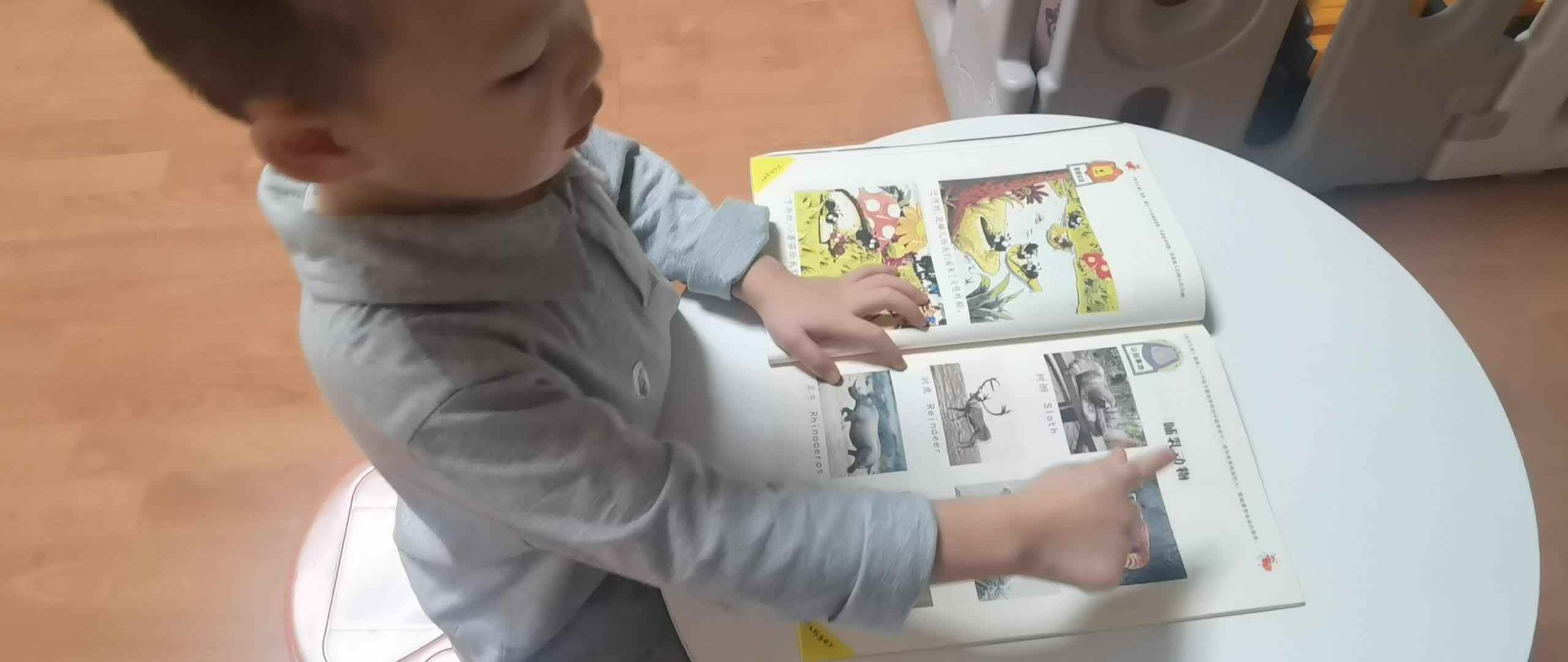 ⁣2026年9月21日 彭子琛 指读语言书《哺乳动物》家庭闯关作业