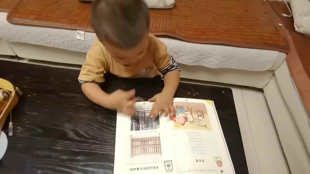 2026年9月20日李岸栩：指读语言书《它们是用什么做的》家庭闯关