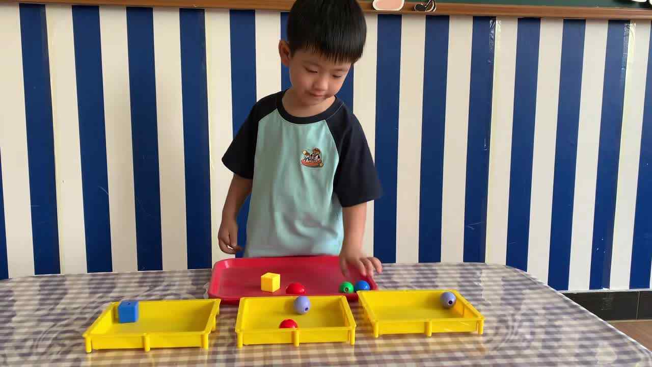 ⁣2026年9月8日 杨佳齐  《按特征分类》学校教育教学活动
