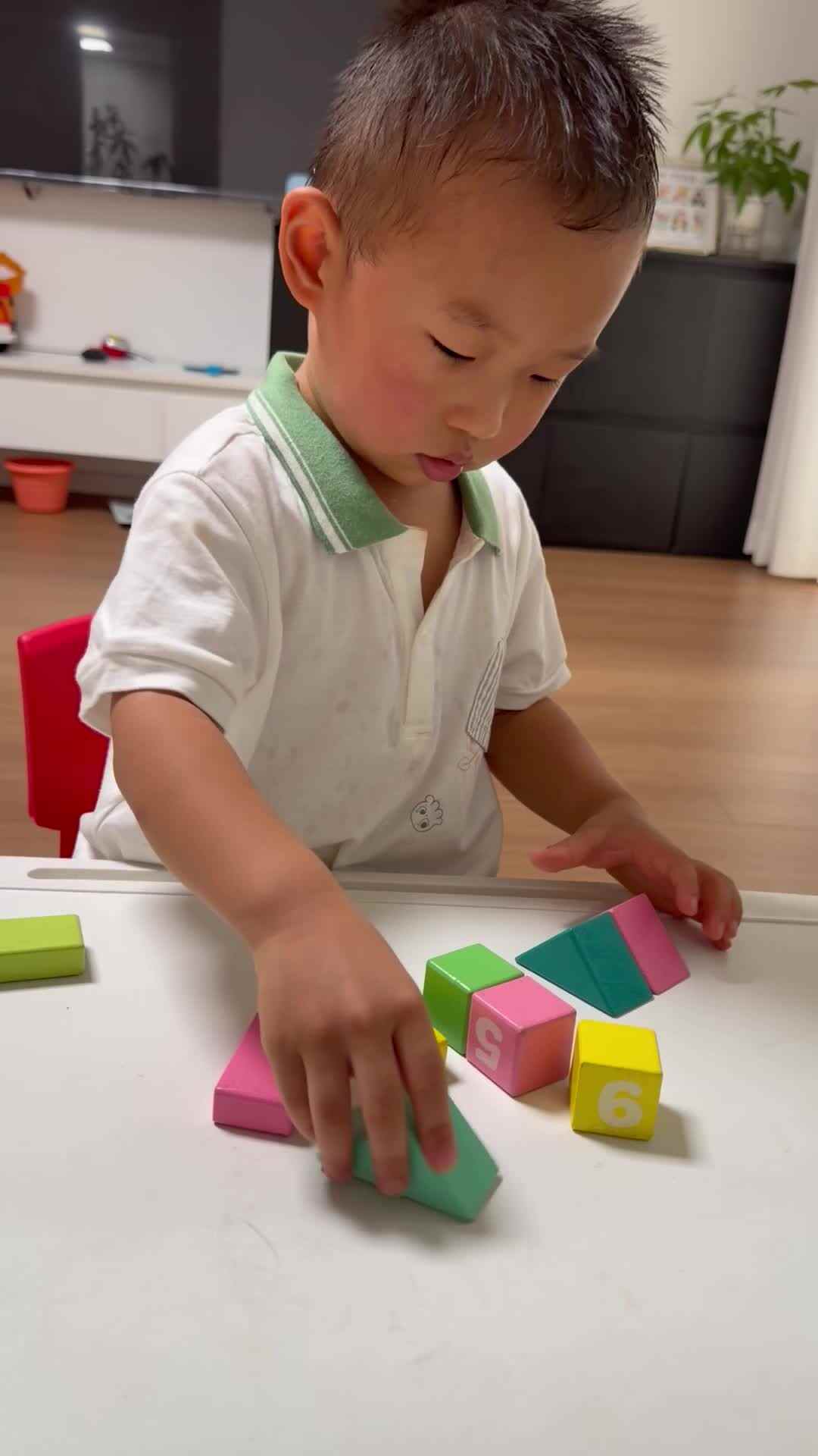 2026.9.8马煦安《形状分类》家庭闯关