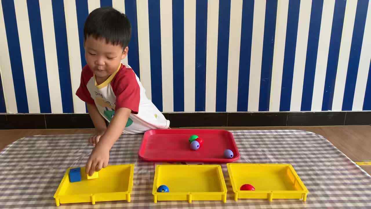 2026年9月8日李君祁   《按物品特征分类》学校教育教学活动
