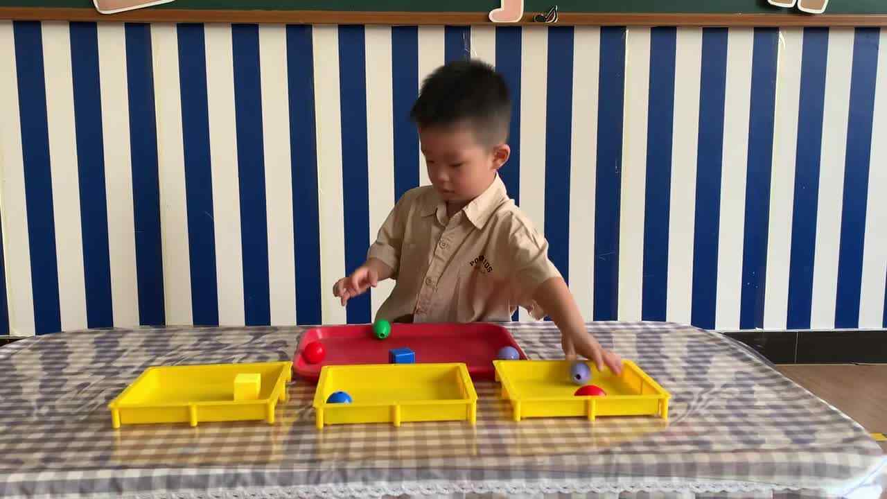 2026年9月8日 肖肖  《按物品特征分类》学校教育教学活动