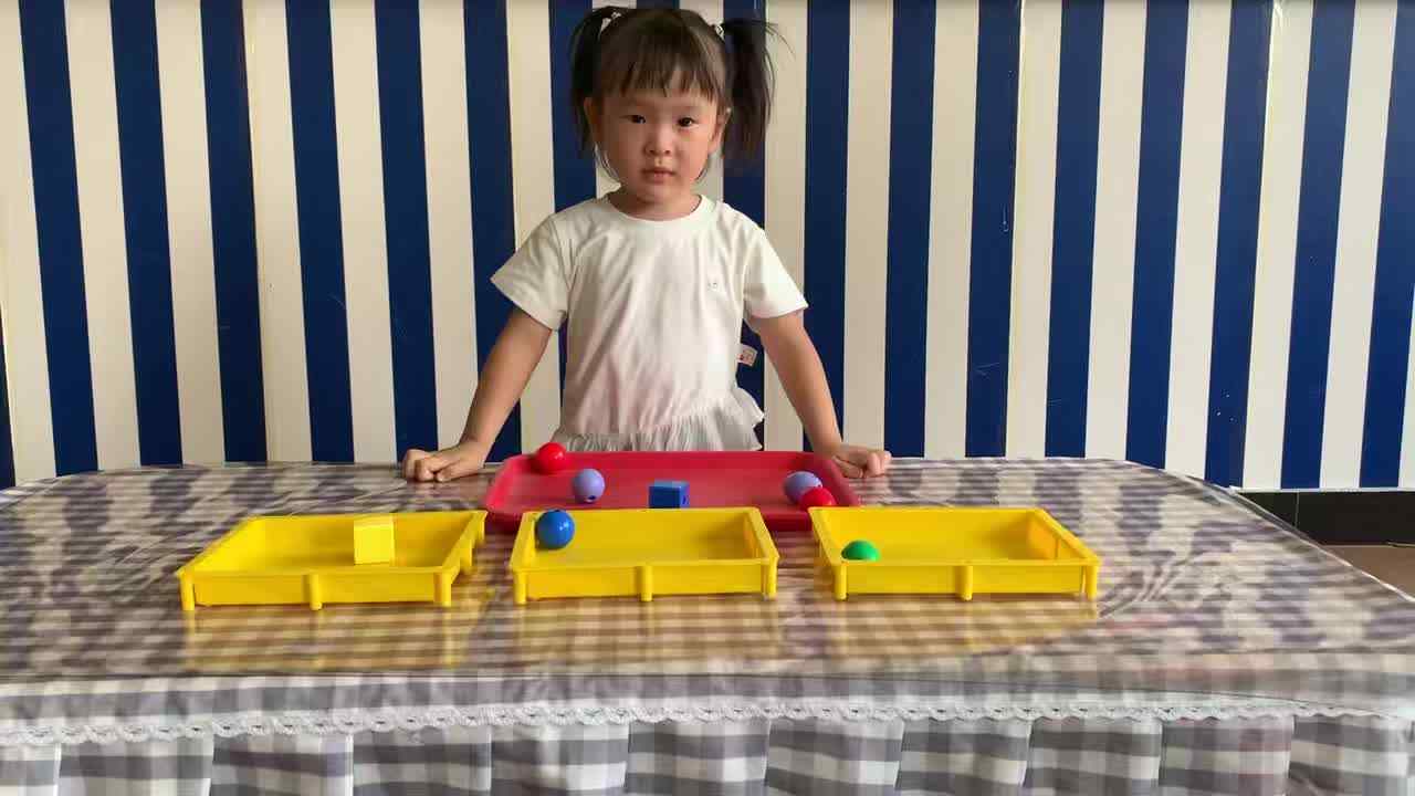 2026年9月8日   傅屹彤《按物品特征分类》学校教育教学活动.mp4