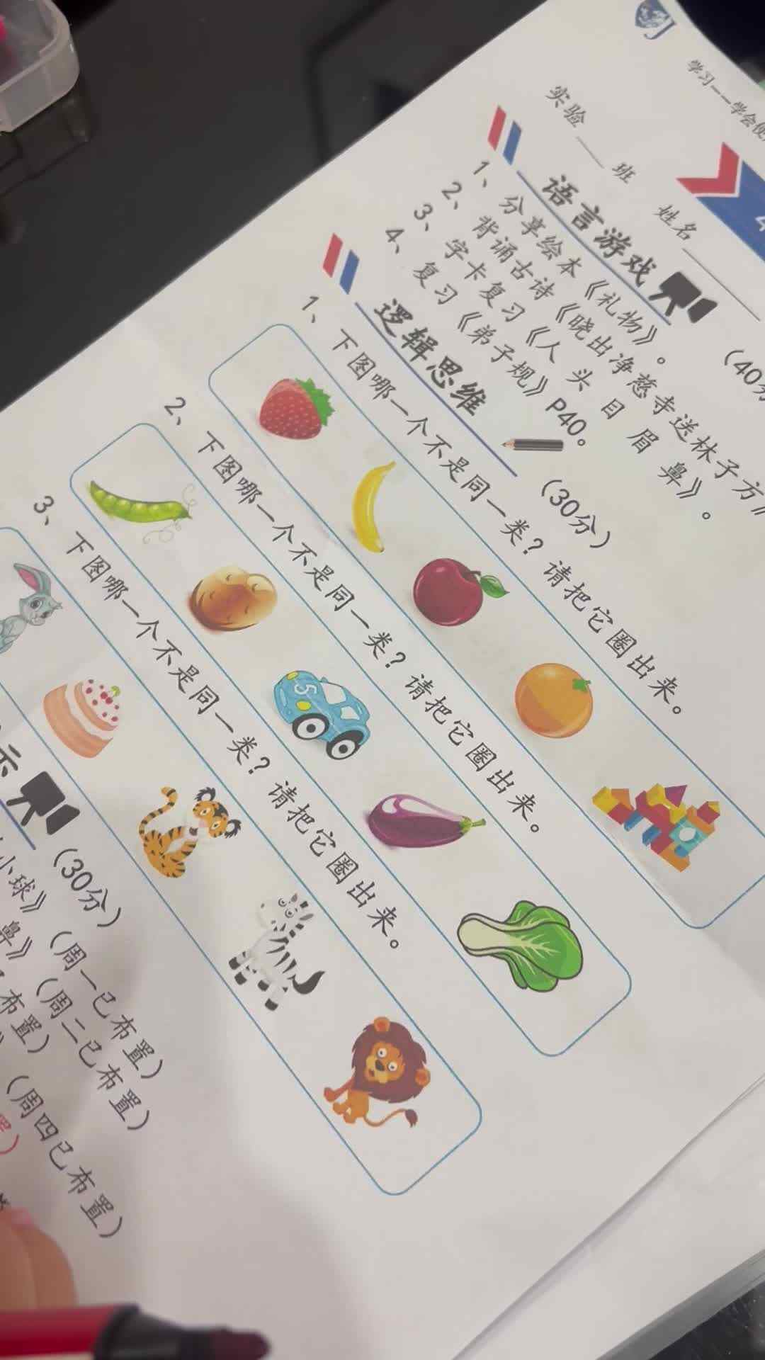 2026.9.19 实验中班 小书包 逻辑思维作业单
