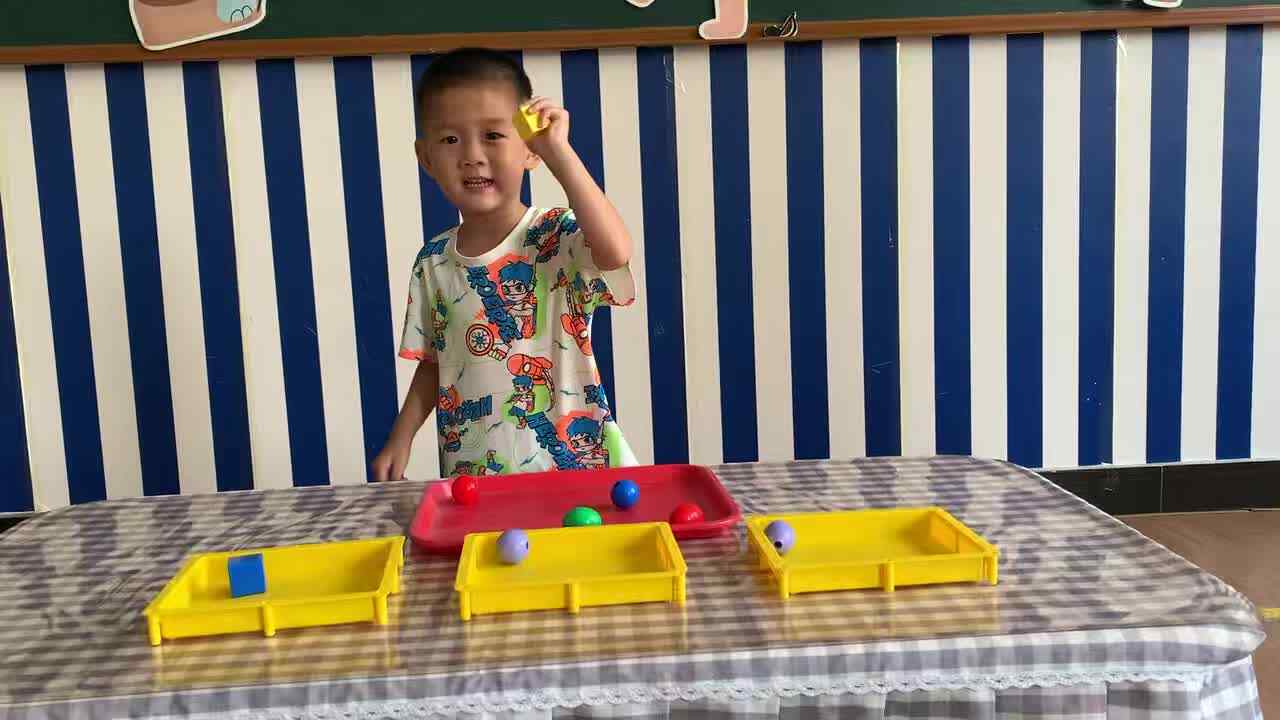 2026年9月8日张一鸣《按物品特征分类》学校教育活动