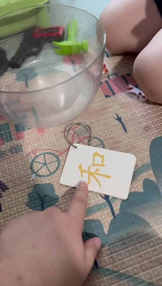 20260908实验大班刘雍洛识字