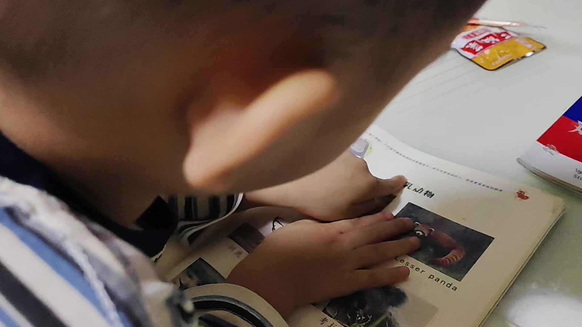 2026年9月21日 张一鸣 指读语言书《哺乳动物》家庭闯关作业